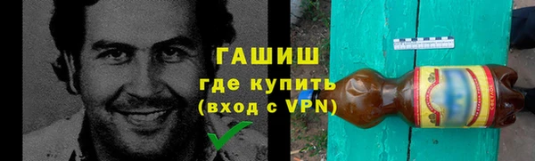 apvp Инта