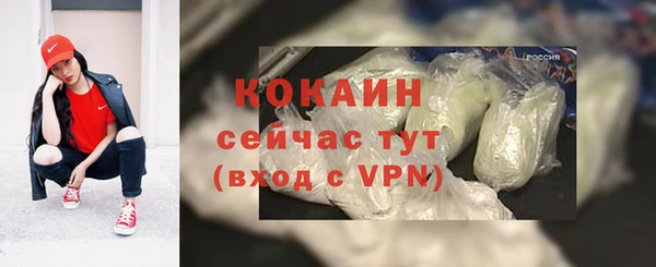 apvp Инта