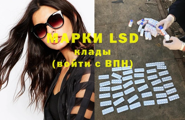 apvp Инта