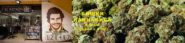 apvp Инта