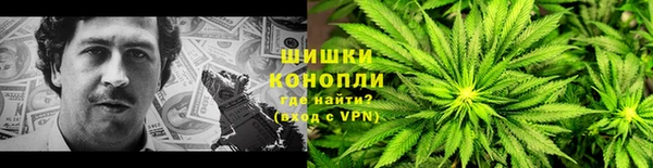 apvp Инта