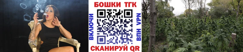 продажа наркотиков  Малаховка  Шишки марихуана LSD WEED 